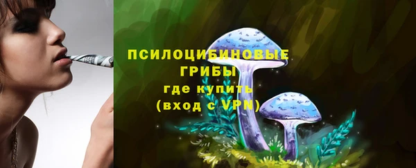 spice Верхний Тагил