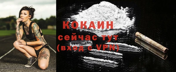 прущий лед Верея