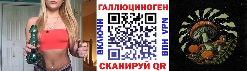 Псилоцибиновые грибы Psilocybine cubensis  закладки  Нижний Тагил 